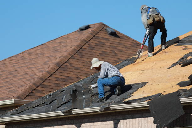 Best Solar Panel Roofing Installation  in Peculiar, MO