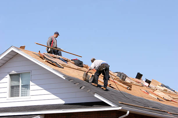 Best Chimney Flashing Repair  in Peculiar, MO